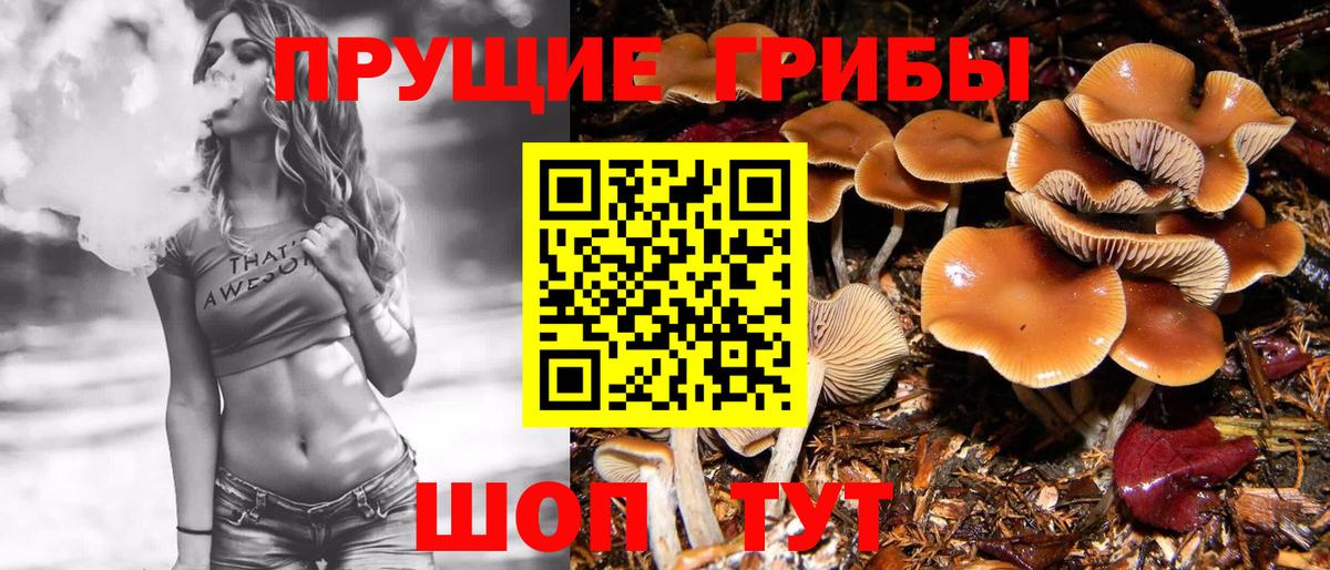 Псилоцибиновые грибы Psilocybine cubensis  Псилоцибиновые грибы MAGIC MUSHROOMS  Елизово  Вход с VPN 