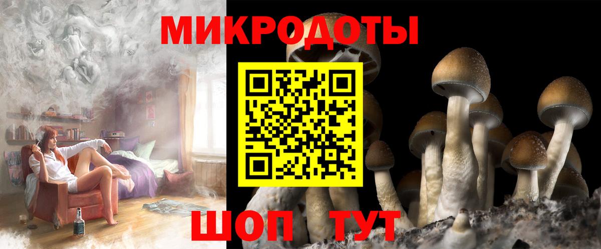 Псилоцибиновые грибы Psilocybine cubensis Елизово